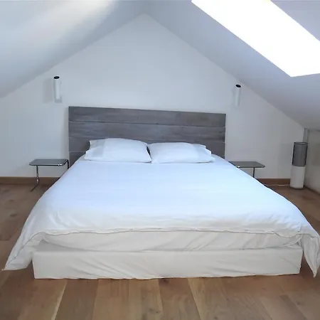 Apartment Studio Alpins Annecy
